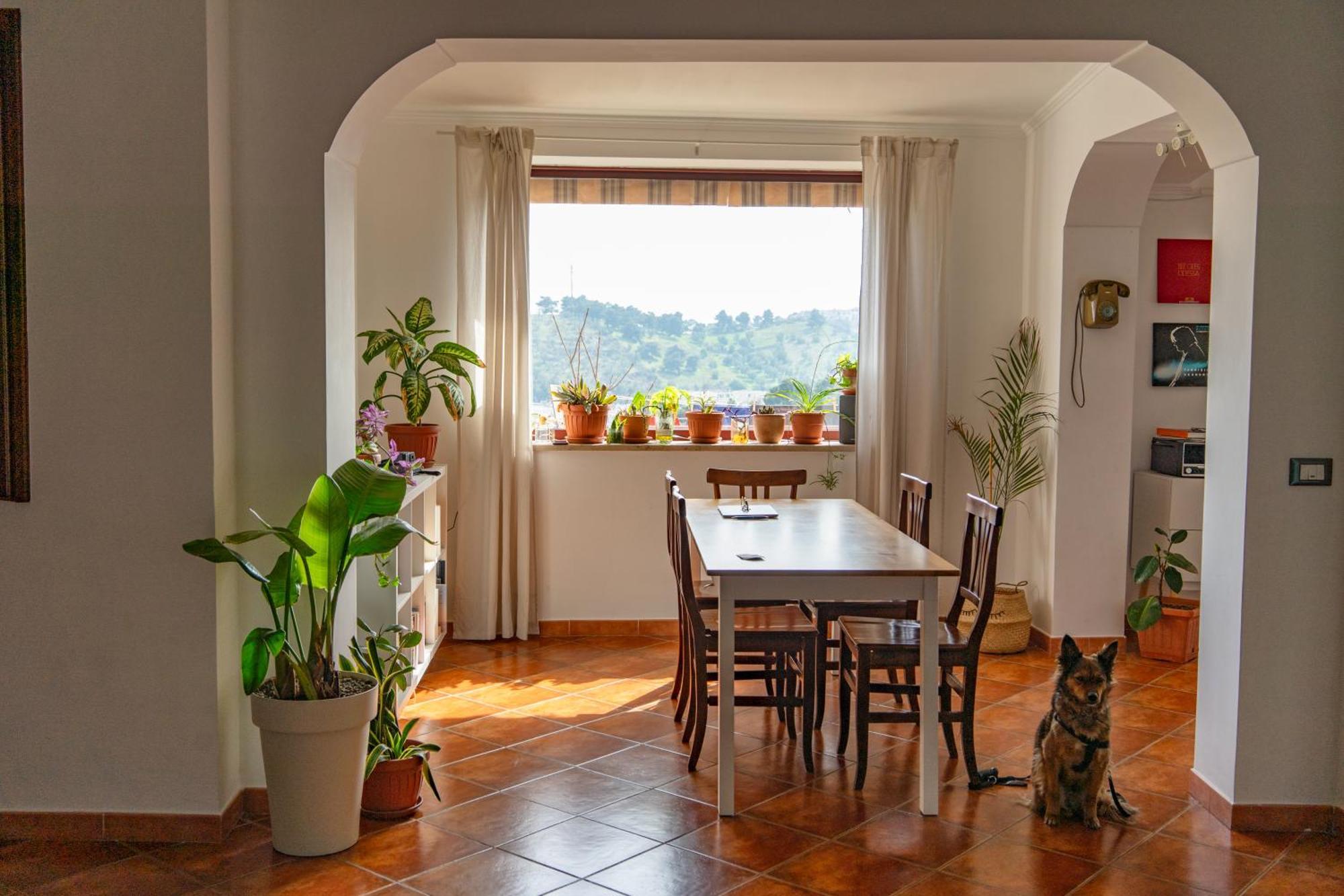 Coliving Together Gargano Вьесте Экстерьер фото